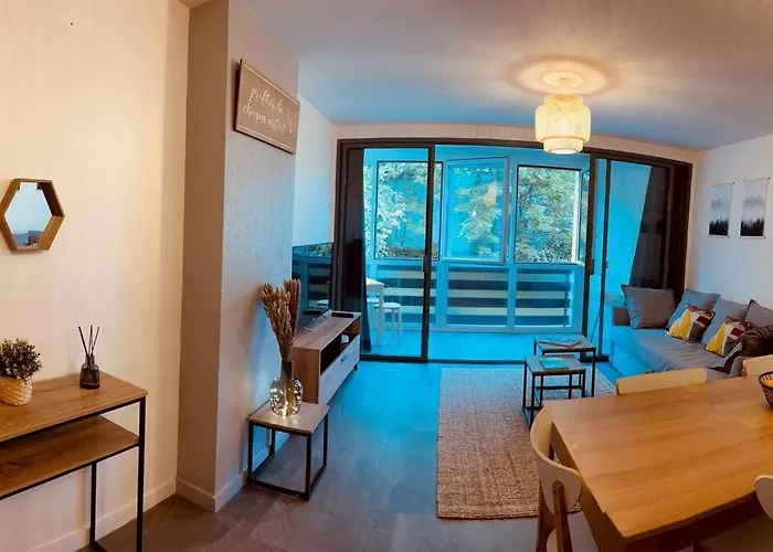 Grand T2 Renove, Plein Centre, 62 M²